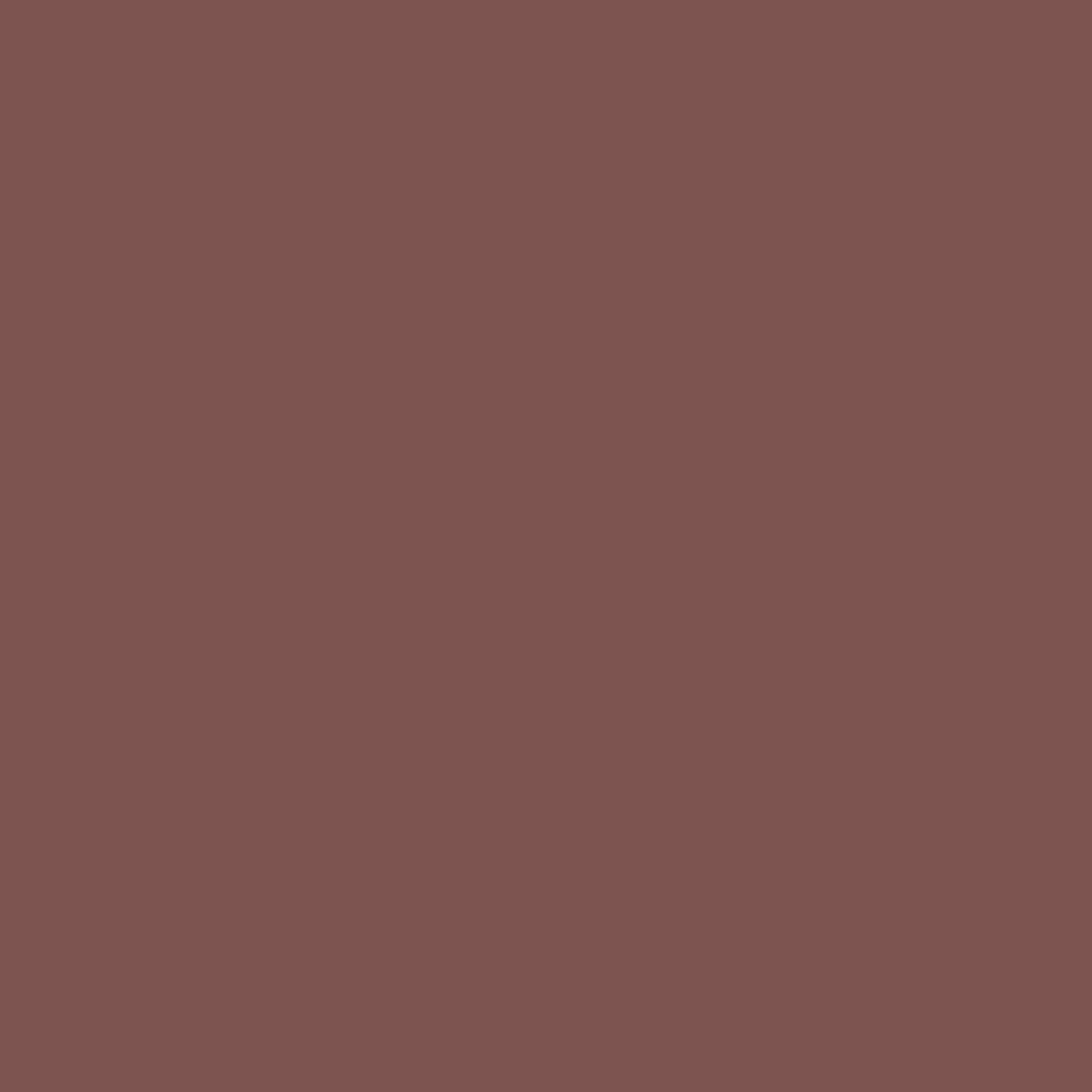 269 Terra di Siena Wall & Wood Satin Flamant - Cachethomecollection.de