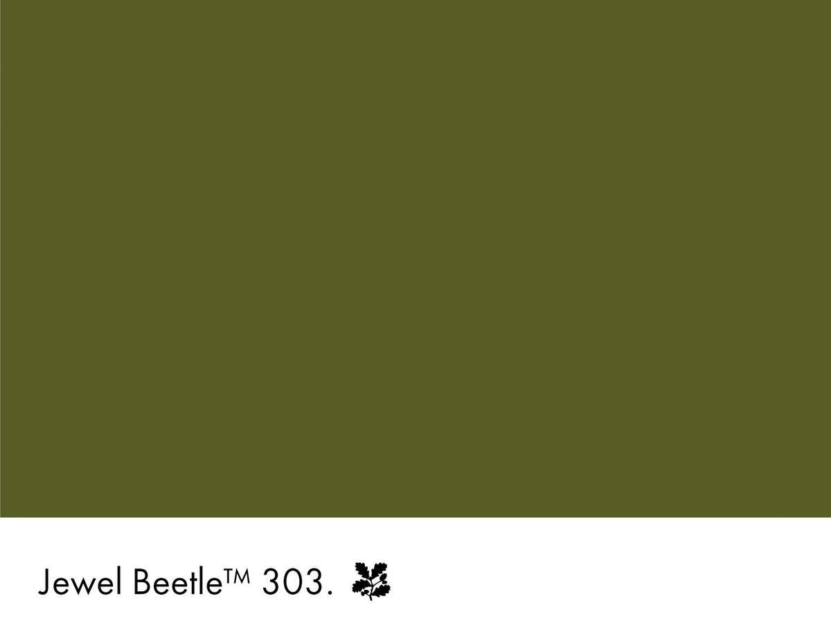 303 | Jewel Beetle Intelligent Exterior Eggshell Little Greene