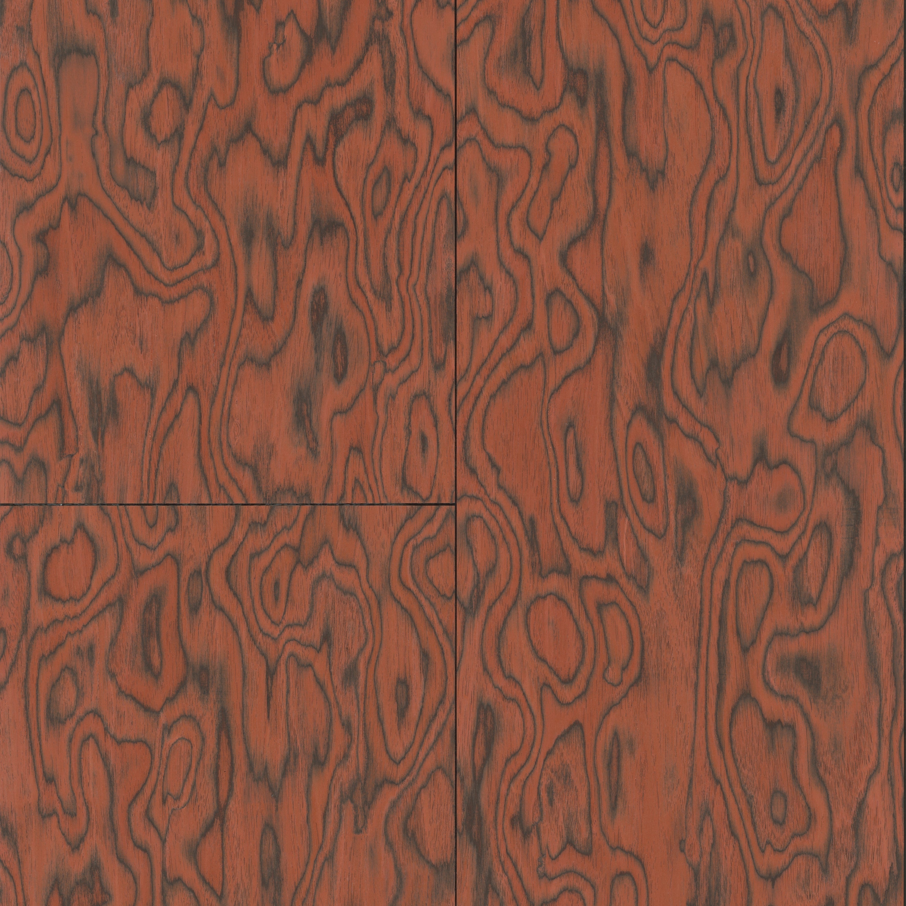 30800 Coti Embleme Arte - Cachethomecollection.de