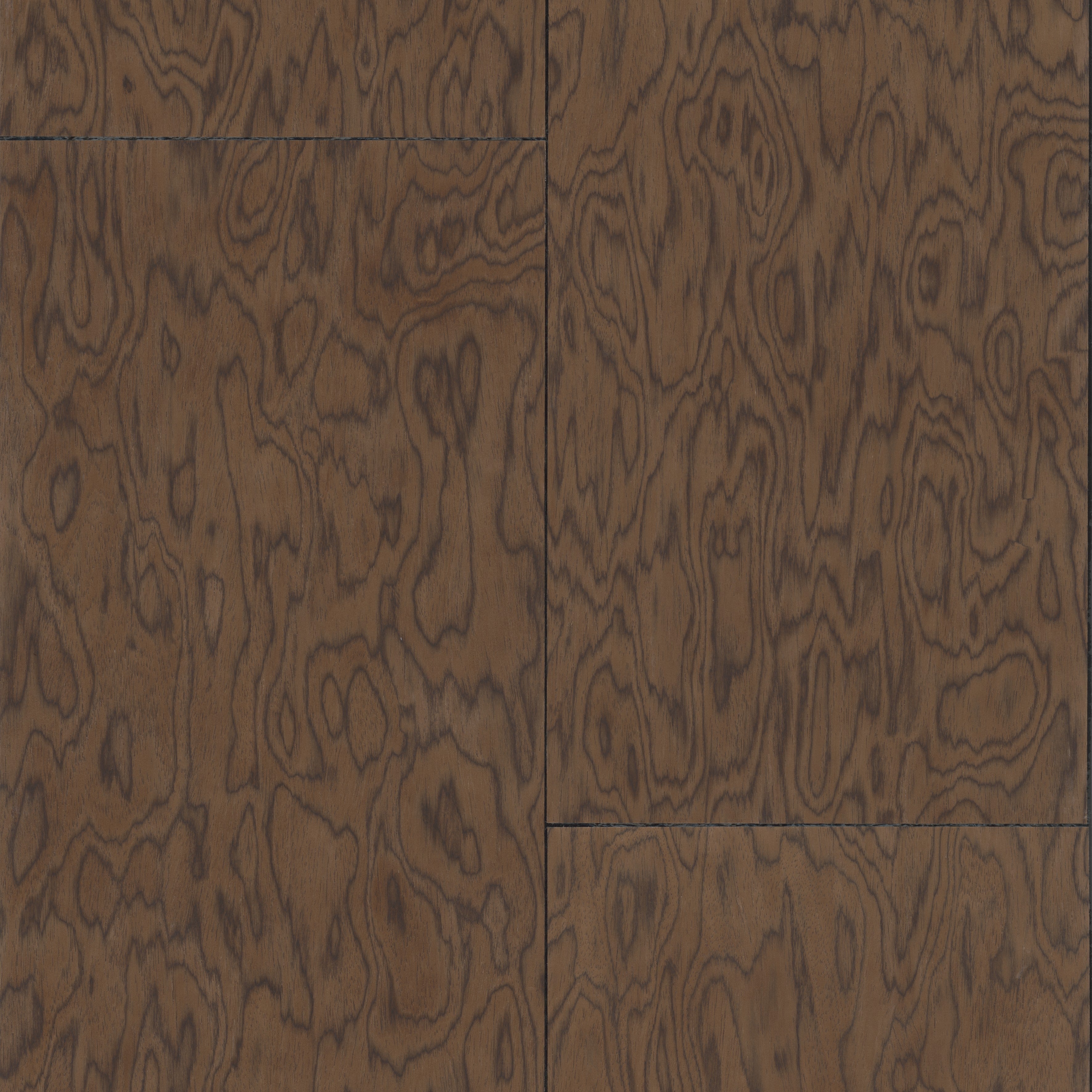 30802 Coti Embleme Arte - Cachethomecollection.de