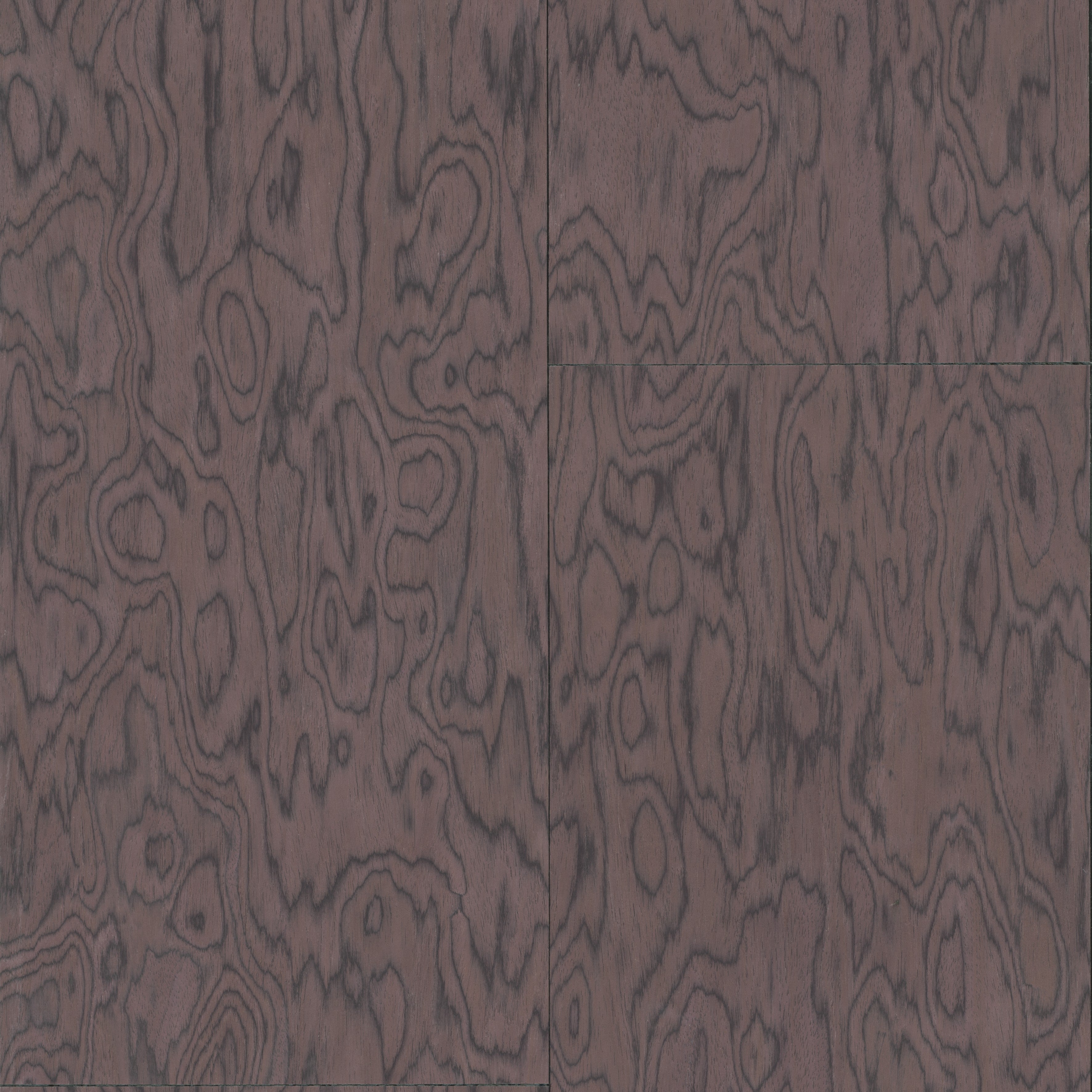30803 Coti Embleme Arte - Cachethomecollection.de