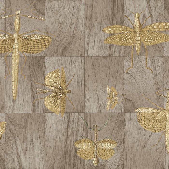 42002 Wings Ligna Arte - Cachethomecollection.de