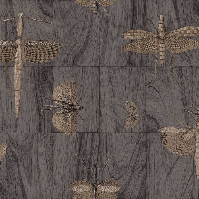 42003 Wings Ligna Arte - Cachethomecollection.de