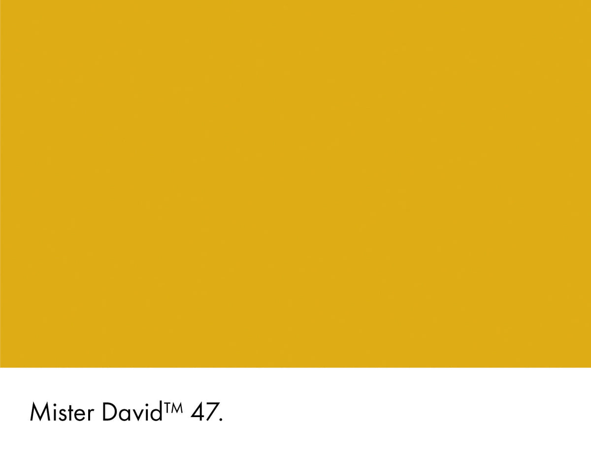 47 | Mister David Intelligent ASP (All Surface Primer) Little Greene