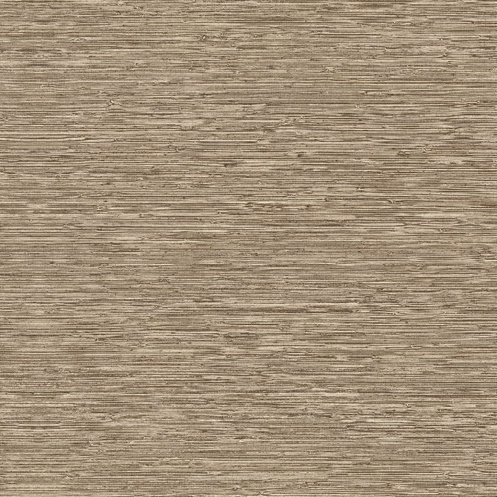 73523 Matiz Pampas Arte - Cachethomecollection.de