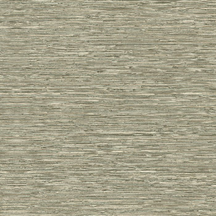73532 Matiz Pampas Arte - Cachethomecollection.de