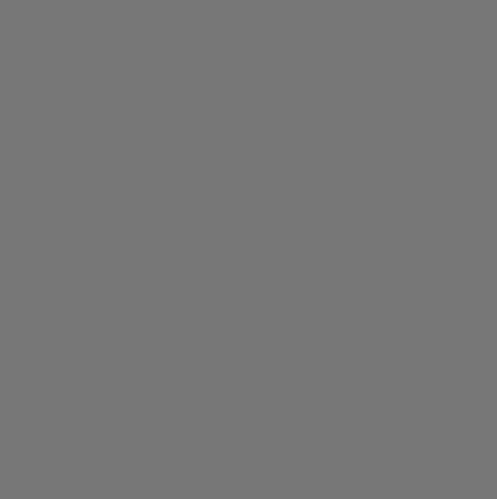 74. Schaduw Matte Wandfarbe L'Authentique - Cachethomecollection.de