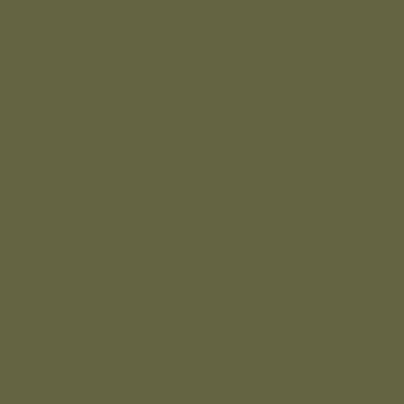 8.005 Verde Bodenfarbe Mia Colore - Cachethomecollection.de