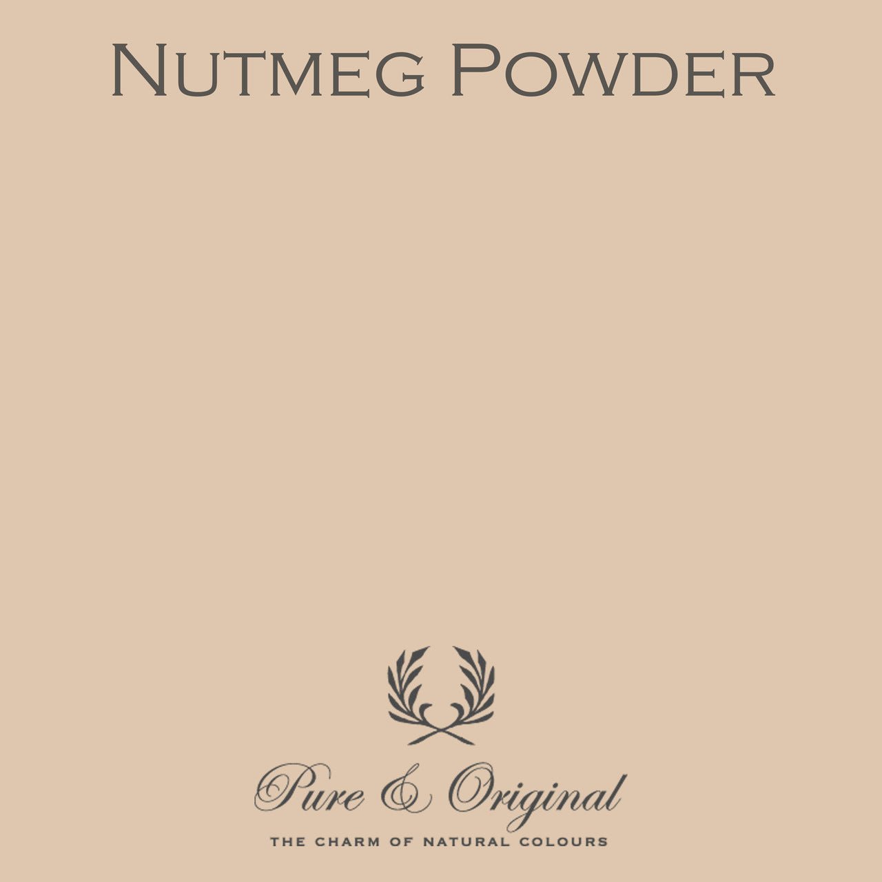 Nutmeg Powder Wall Primer Pure & Original - Cachethomecollection.de