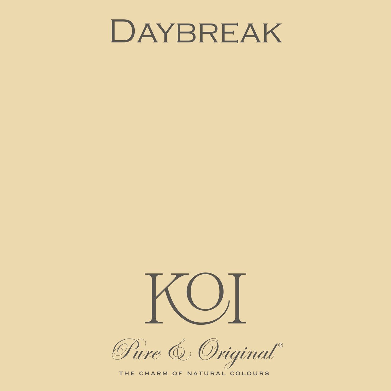 Daybreak Wall Primer Pure & Original - Cachethomecollection.de