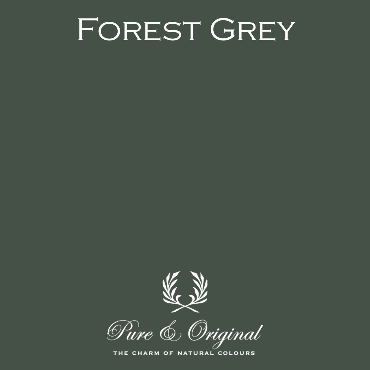 Forest Grey Massif Stucco Pure & Original - Cachethomecollection.de