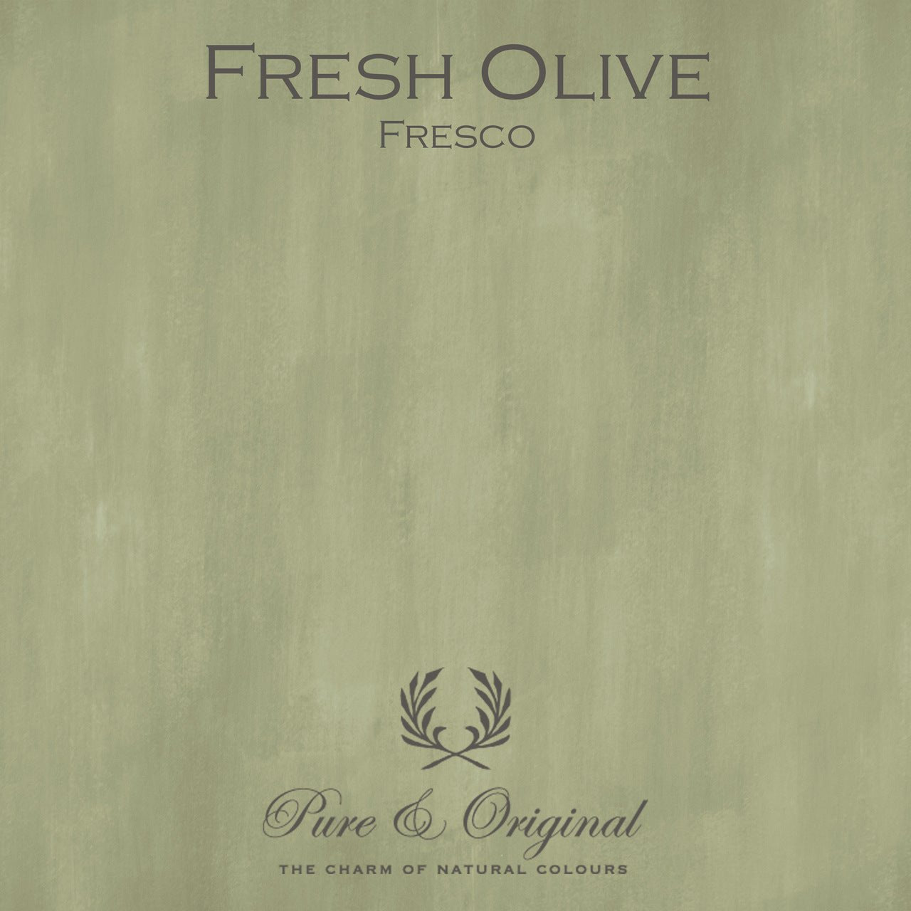 Fresh Olive Fresco Kalkfarbe Pure & Original - Cachethomecollection.de