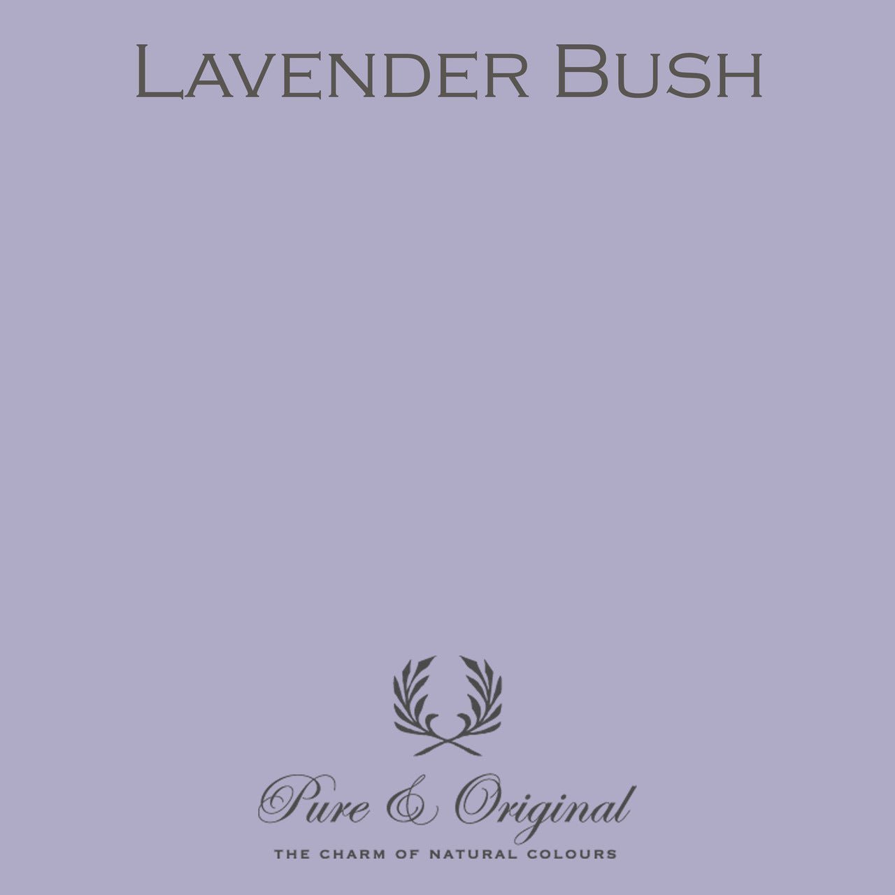 Lavender Bush Fassadenfarbe Calx Kalei Pure & Original - Cachethomecollection.de