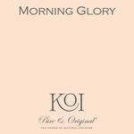 Morning Glory Fassadenfarbe Calx Kalei Pure & Original - Cachethomecollection.de