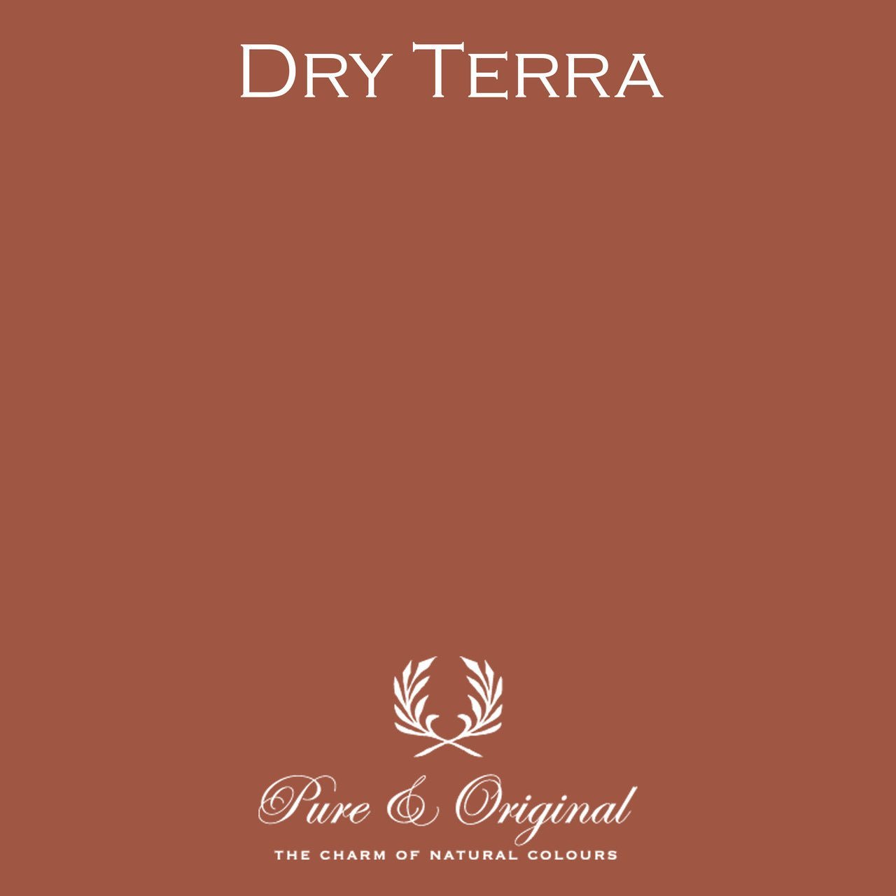 Dry Terra Fassadenfarbe Quartz Kalei Pure & Original - Cachethomecollection.de