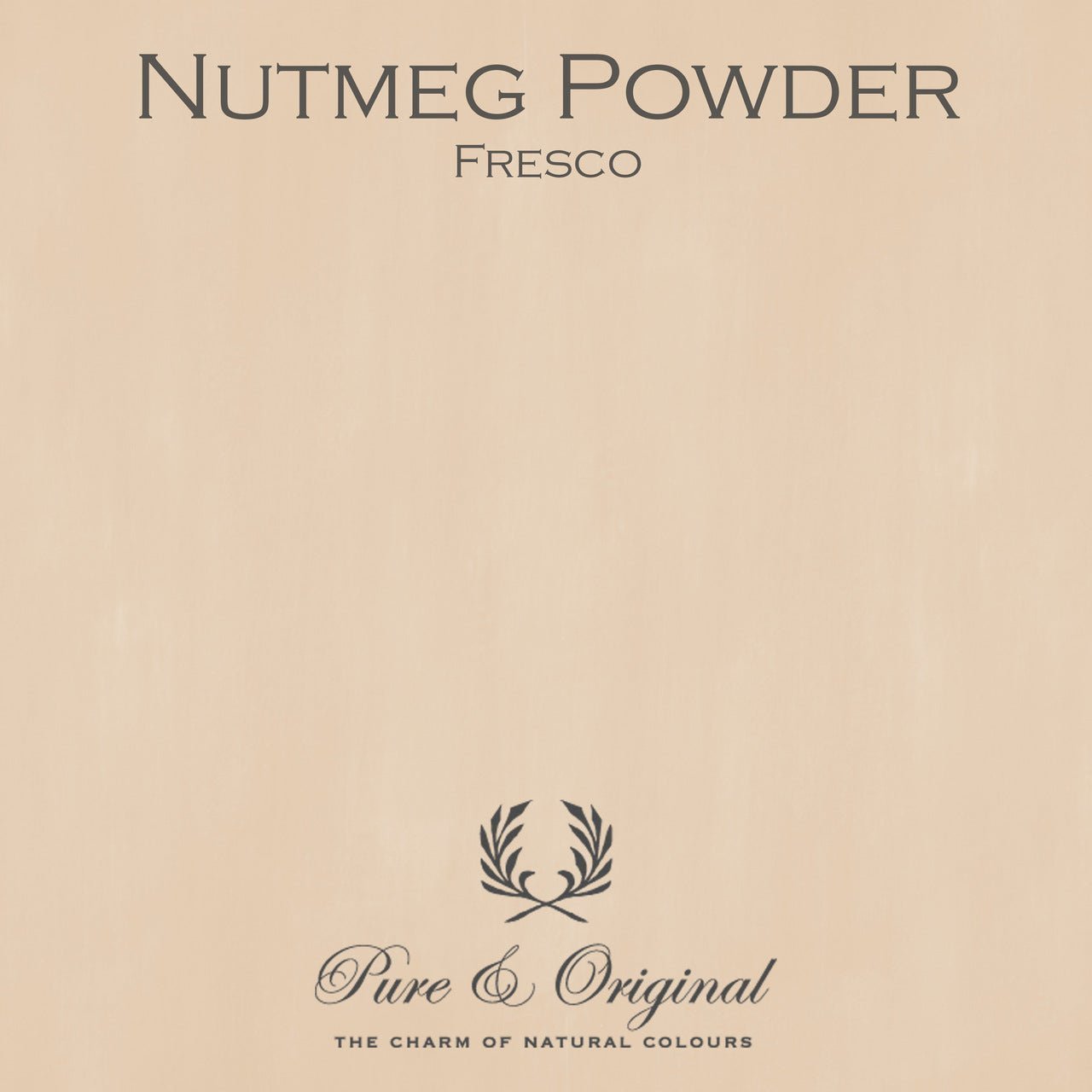 Nutmeg Powder Fresco Kalkfarbe Pure & Original - Cachethomecollection.de