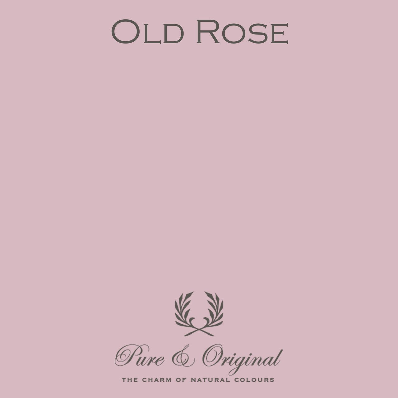 Old Rose Wall Primer Pure & Original - Cachethomecollection.de