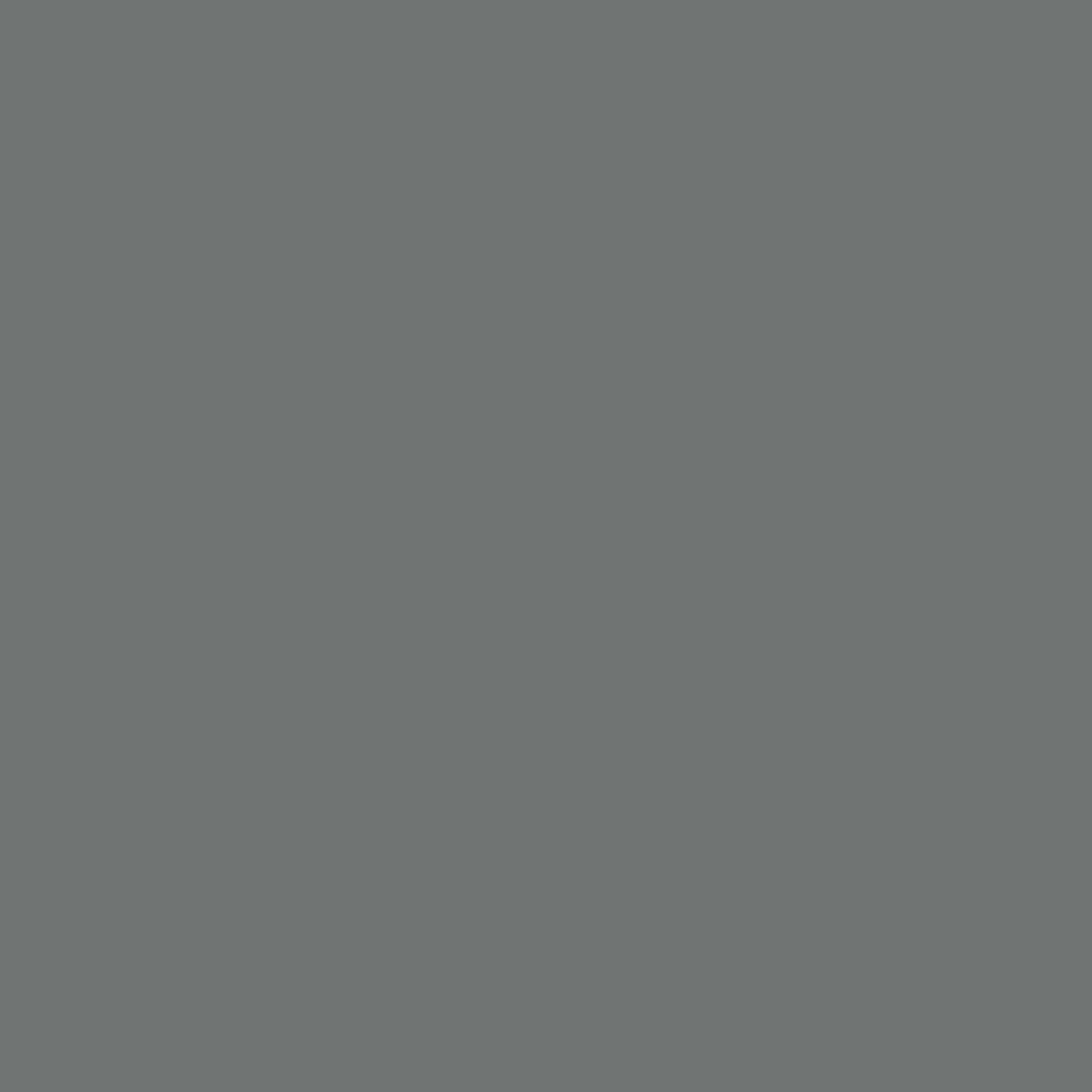 P29 Paves du Nord Wall & Wood Satin Flamant - Cachethomecollection.de