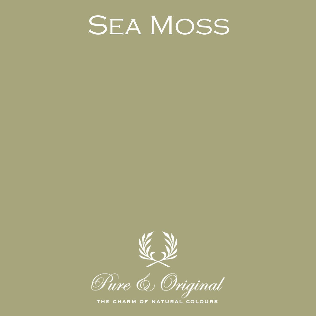 Sea Moss Carazzo (Bodenfarbe) Pure & Original - Cachethomecollection.de