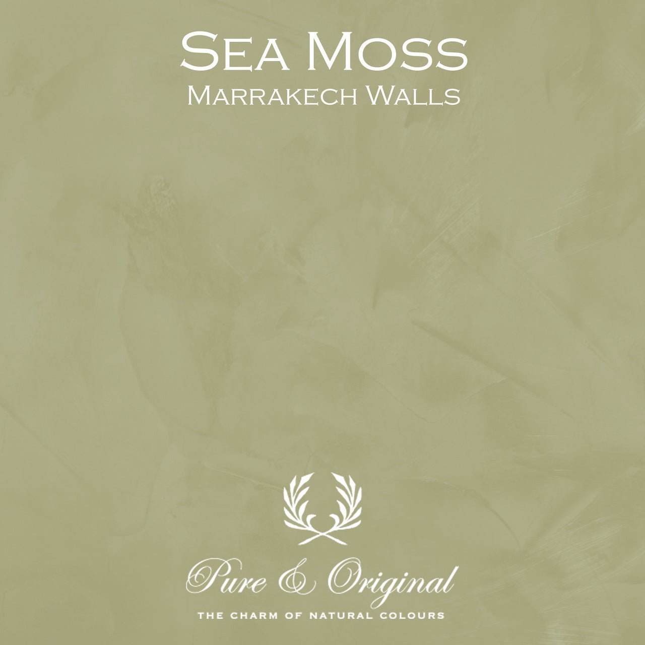 Sea Moss Marrakech Walls Pure & Original - Cachethomecollection.de