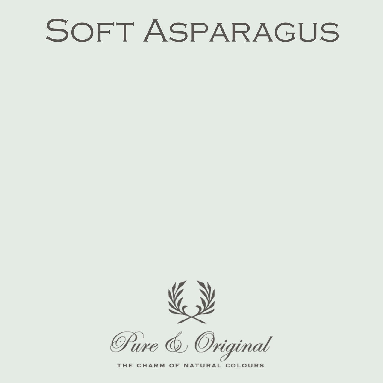 Soft Asparages Wall Primer Pure & Original - Cachethomecollection.de