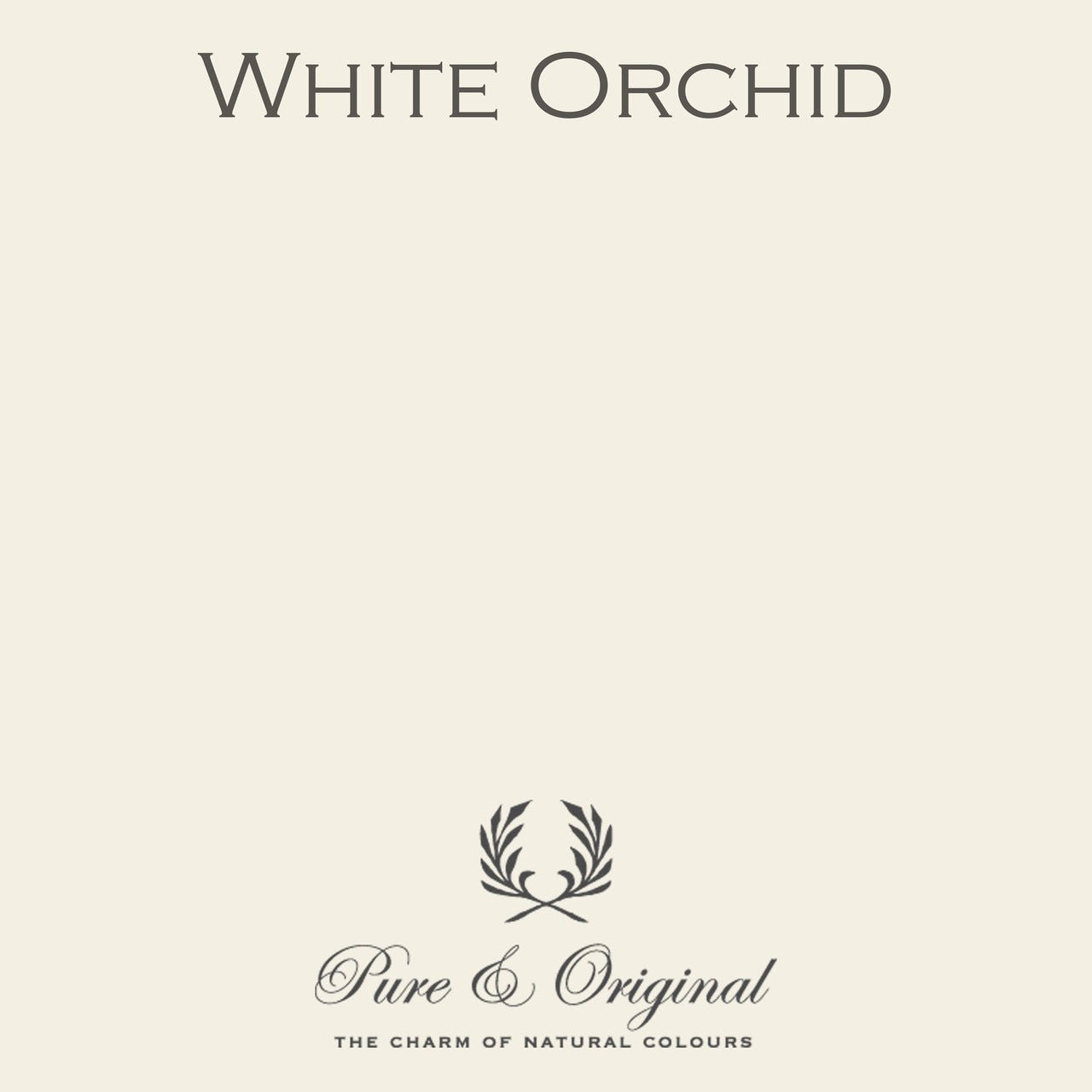 White Orchid Eggshell Lak Pure & Original - Cachethomecollection.de